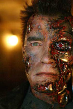 Bild24